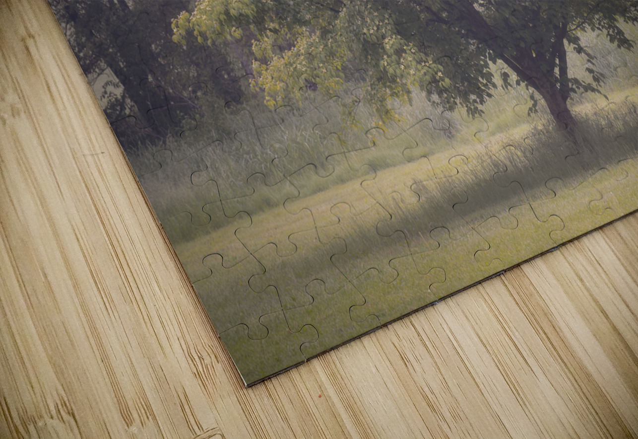 Cedar Creek Park   Late Spring Dogwood Jason Fink Puzzle