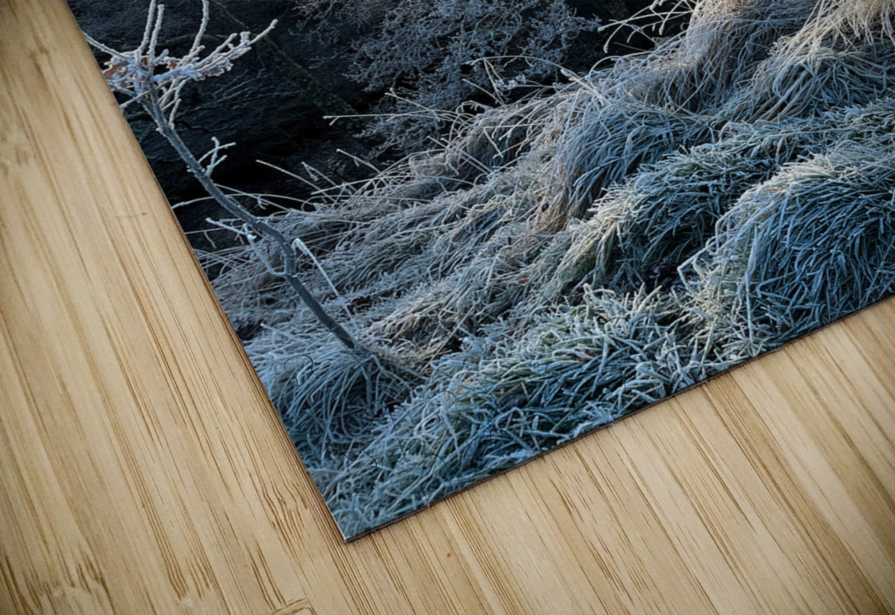 Winters Frosty Nature in the Scottish Highlands  Catriona Roberts Nature Photography and Designs Puzzle