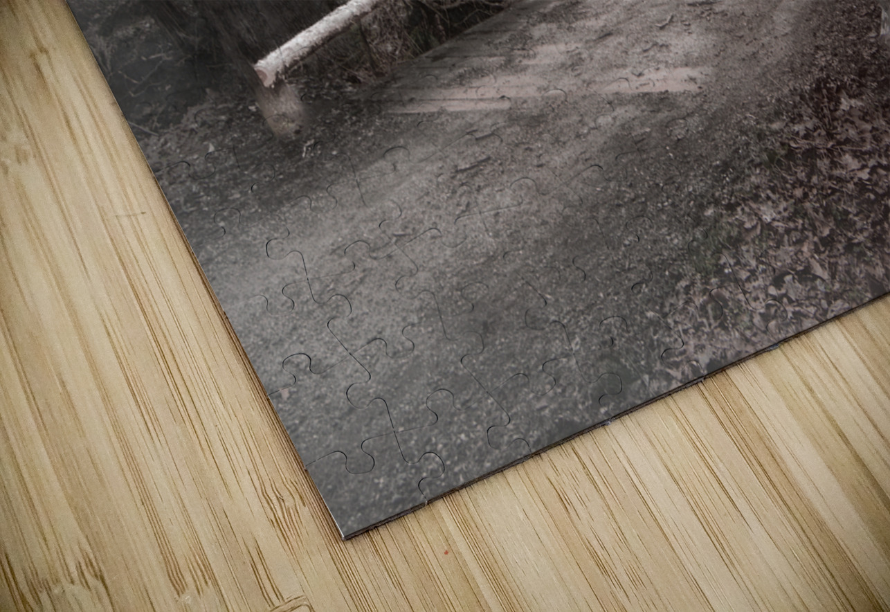 Booker T Washington Monument Barn and Buggy Norma Brandsberg Photography Puzzle