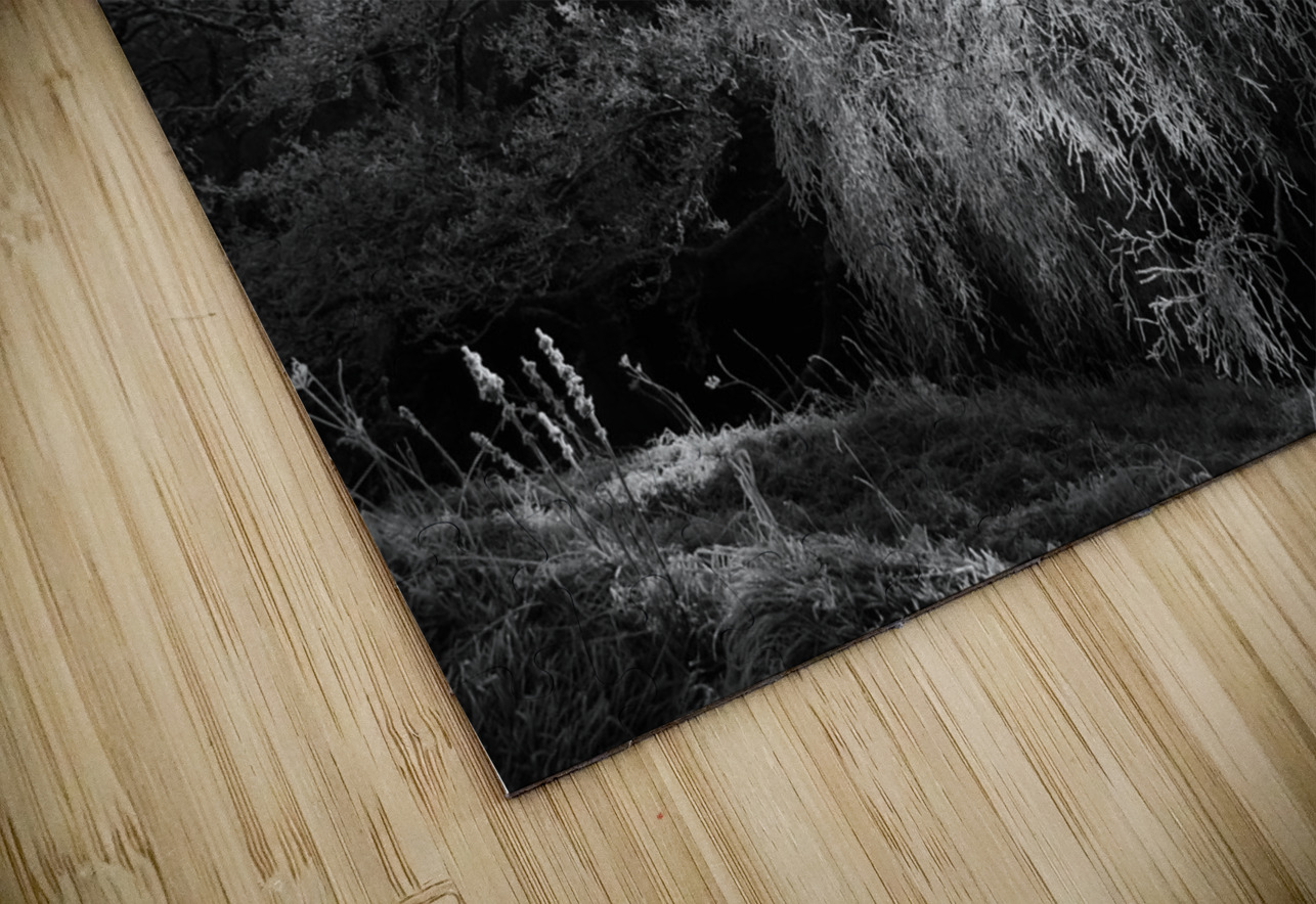  Black and White Winter Beauty in the Scottish Highlands Catriona Roberts Nature Photography and Designs Puzzle