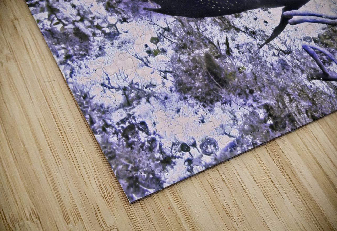 Twelve DeepEarth Photography Puzzle