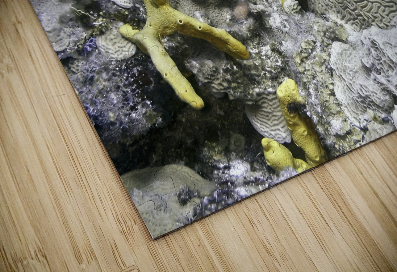 Copyright DeepEarth Photography Puzzle