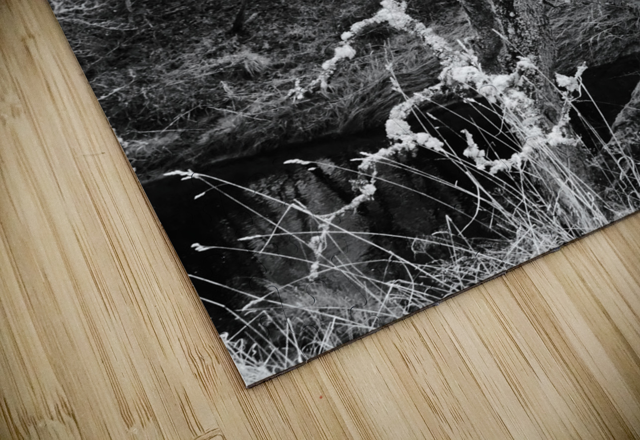 Black and White Winter in the Scottish Highlands Catriona Roberts Nature Photography and Designs Puzzle