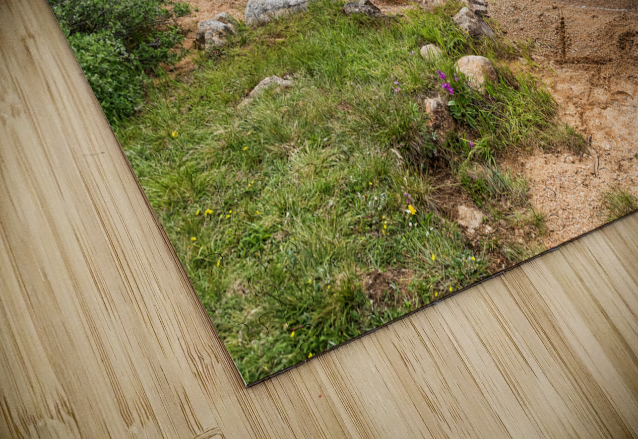 Love the Colorado Rocky Mountains Bo Insogna Puzzle