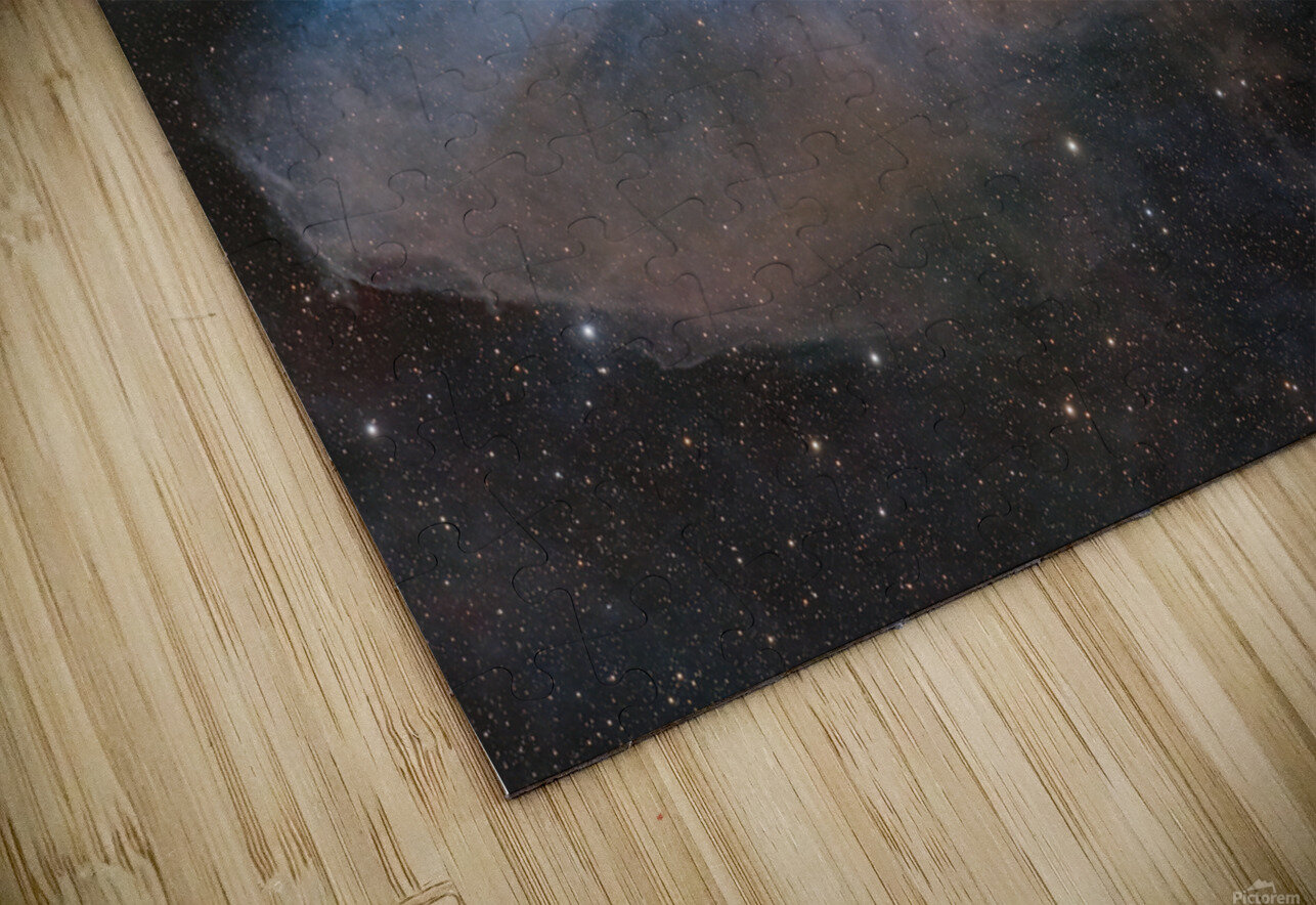 BlueHorseHead Toozastro Puzzle