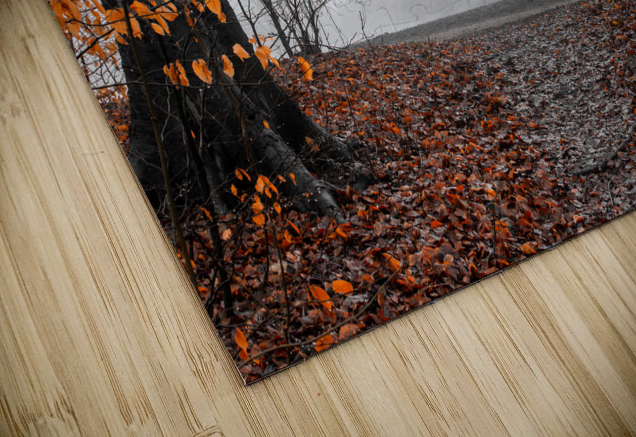 Trees and orange leaves in a park on a foggy morning  caladoart Puzzle