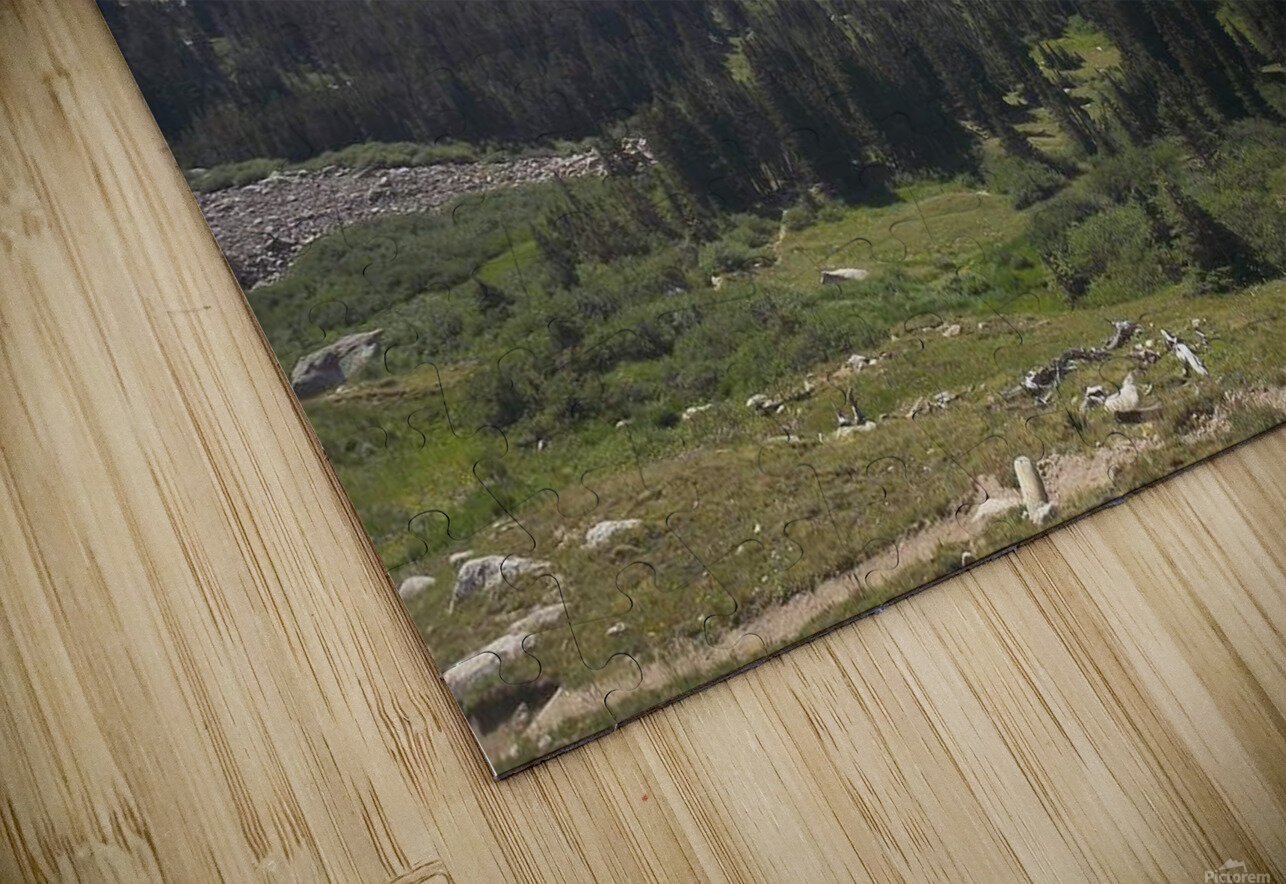 Lawn Lake RMNP 1 Calvin Smedes Puzzle