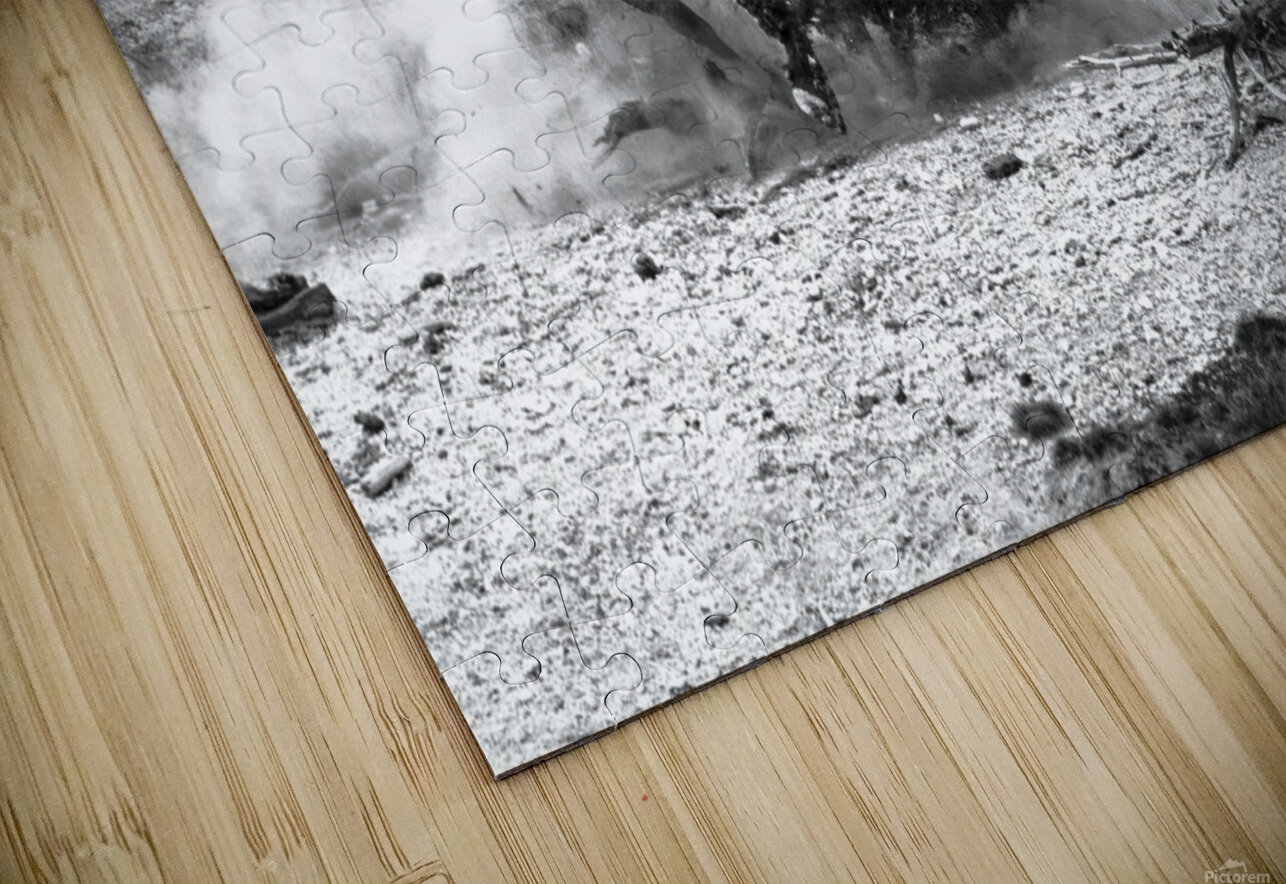 Bison Battle Backwood Photographer Puzzle