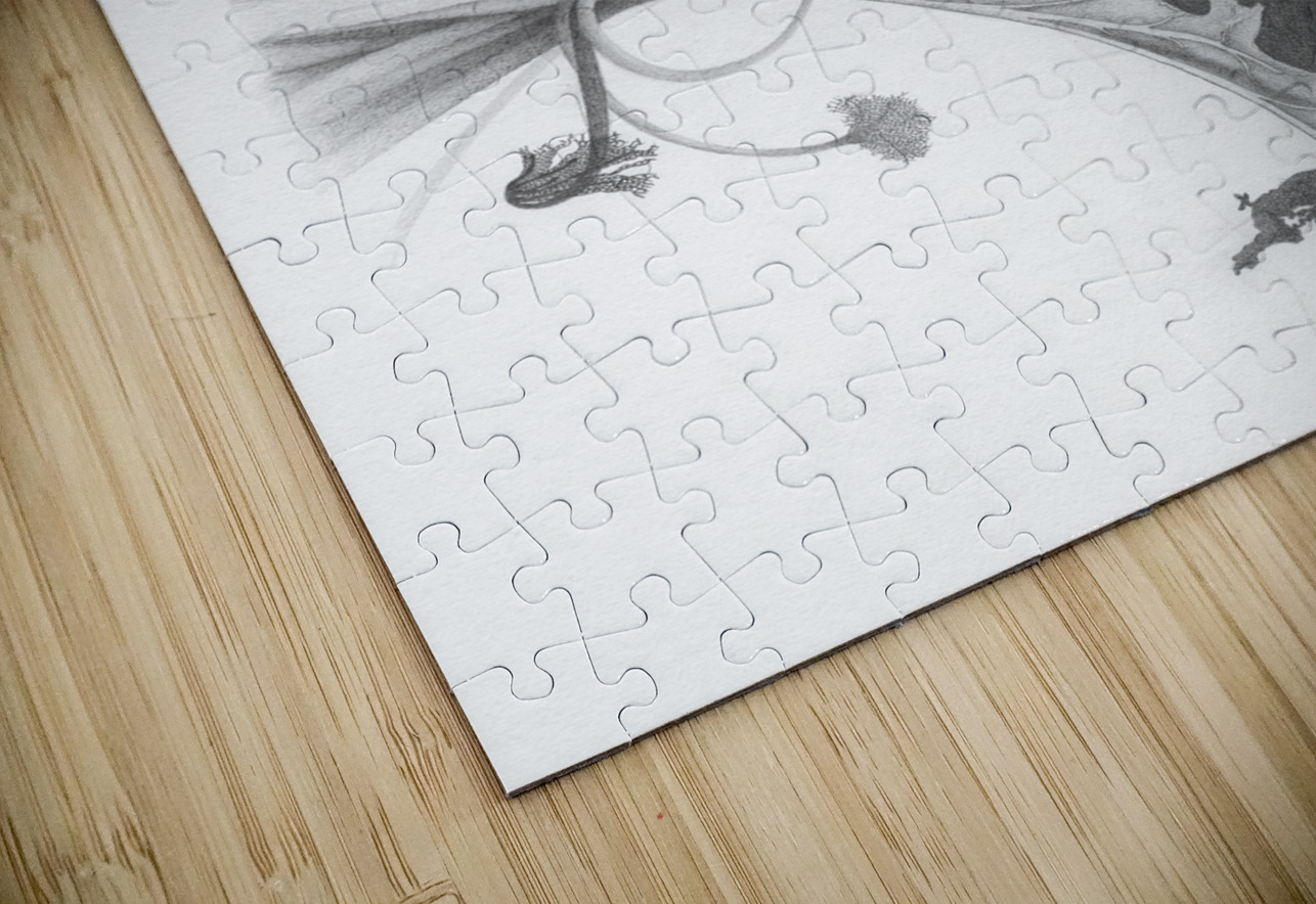 Fragment dun monde inconnu 4 Marcel Jomphe Puzzle