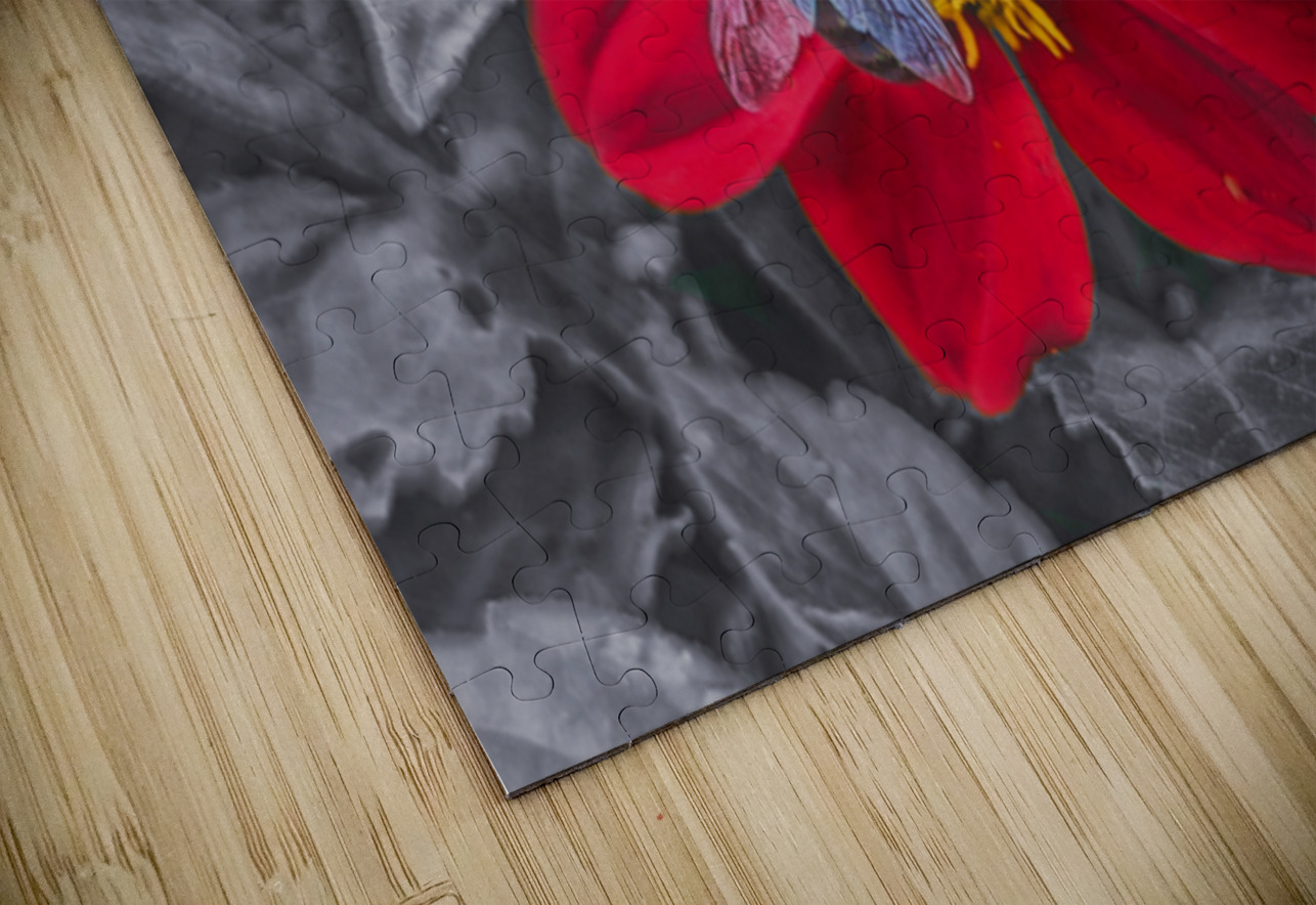 Lone Bee Red Dahlia Future Unmapped Puzzle