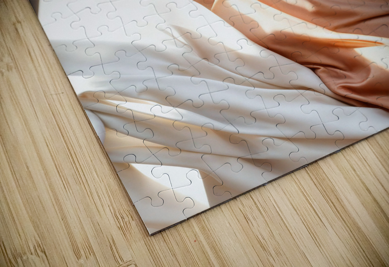 Peach Colored Gown  Aniima Illussiya Puzzle