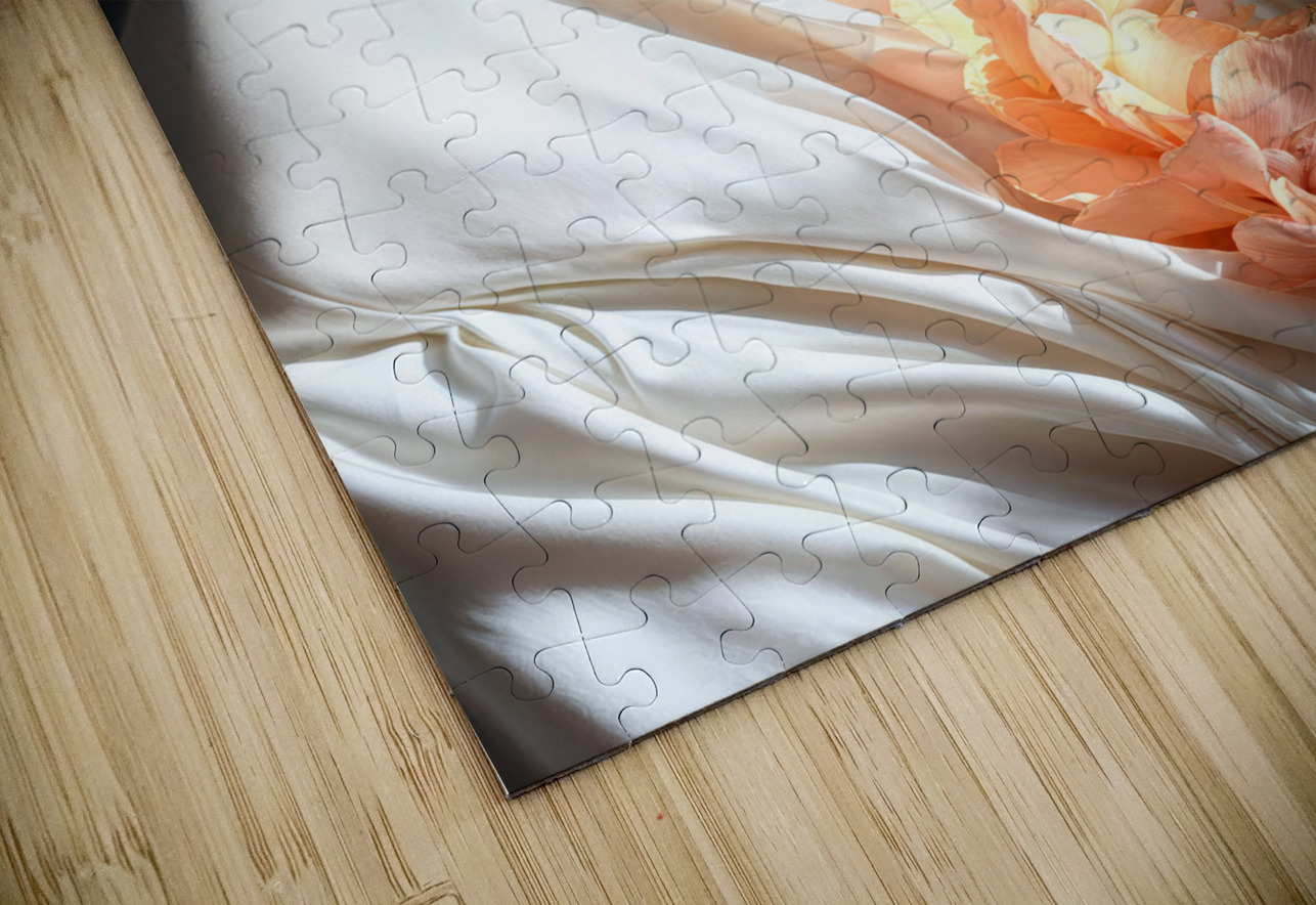 Strong Will  Aniima Illussiya Puzzle