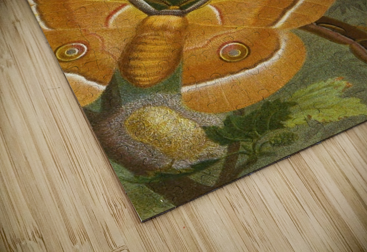 Die Insekten. Tausendfüssler und Spinnen Pl 11 [1877] by Alfred Edmund Brehm [1829–1884] MyCozyFineArt Puzzle