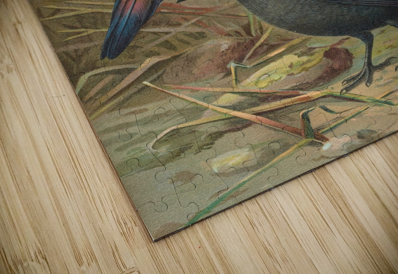 Pica pica. Lycus monedula by Johann Friedrich Naumann [1780–1857] MyCozyFineArt Puzzle