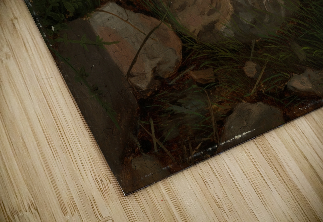 Steine im Gras [1860] by Hans Thoma [1839–1924] MyCozyFineArt Puzzle