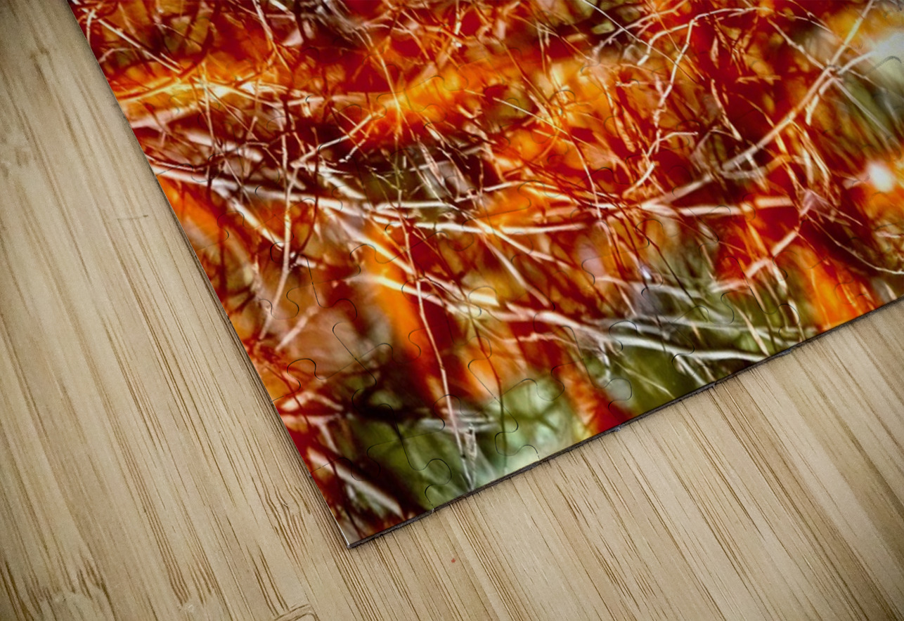 Peces de colores Juan Francisco Maura Puzzle