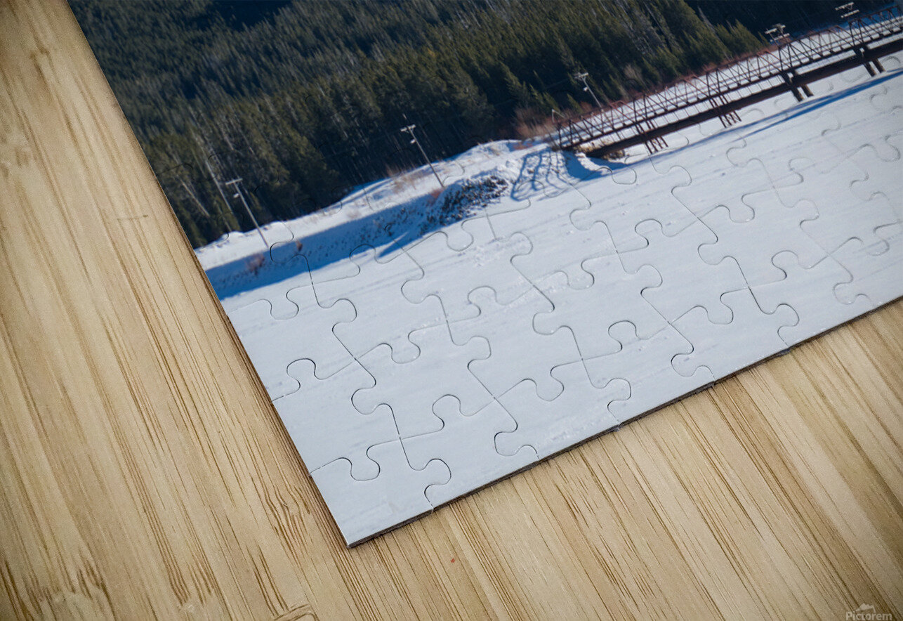 DSC 3357 Paul Radoicich Puzzle