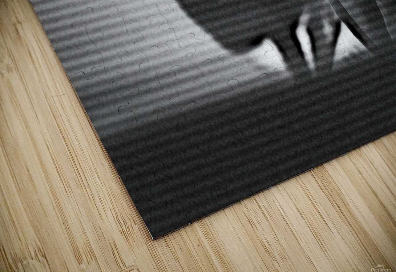 lonely woman reading in the evening room latest newspaper   reading breaking news Adrian H  Puzzle