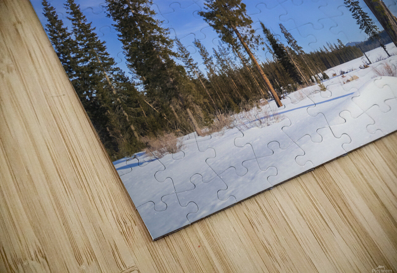 Moonlit Sentinel - Long Lake - Lassen County California nightscape Mike Lee Puzzle