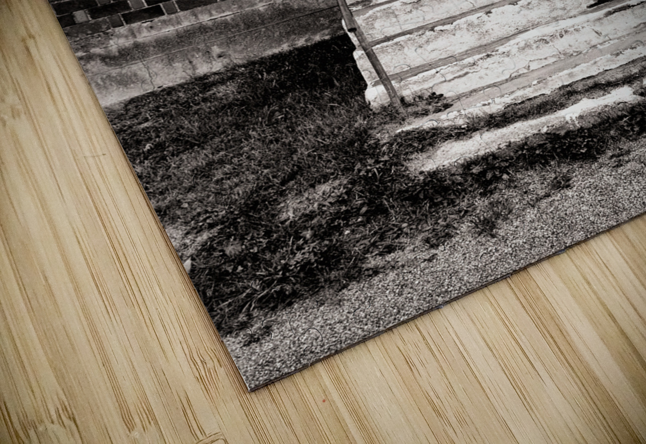 An American Home Jerry Fornarotto Puzzle