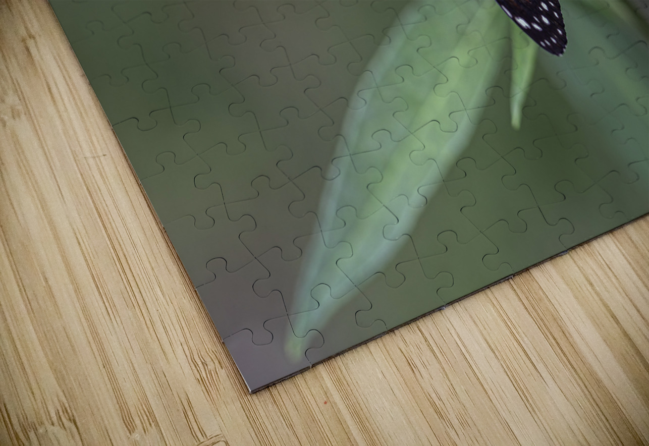 Monarch Butterfly Steven M Becker Puzzle