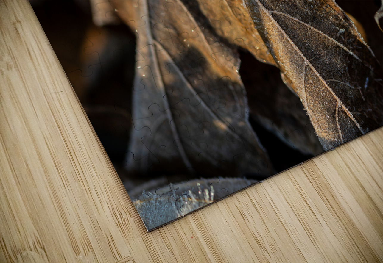 Closeup macro shot of withered brown maple leaf covered by beautiful ice crystals  caladoart Puzzle