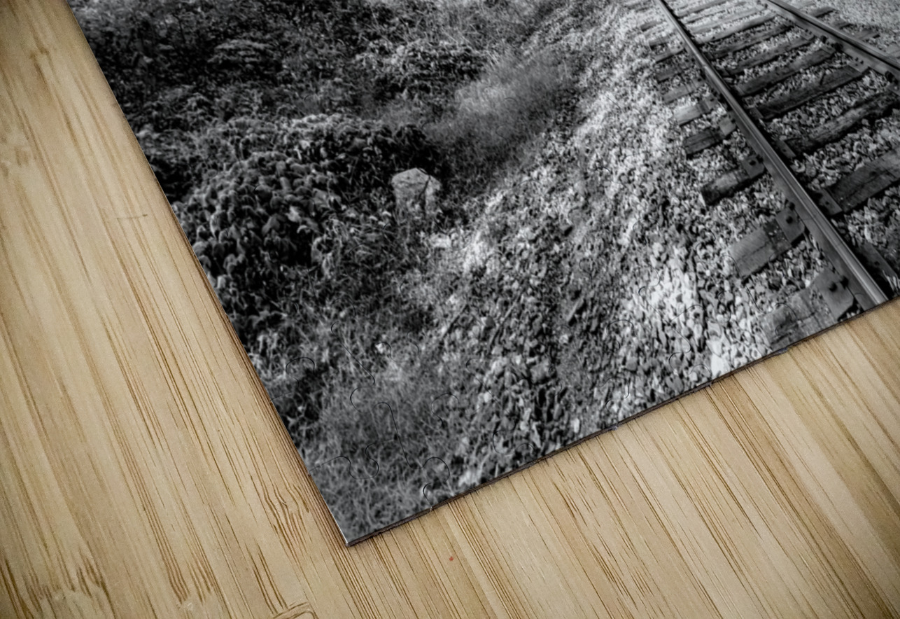 Railroad Tracks Under Cotter Bridge Grayscale Jennifer White Puzzle