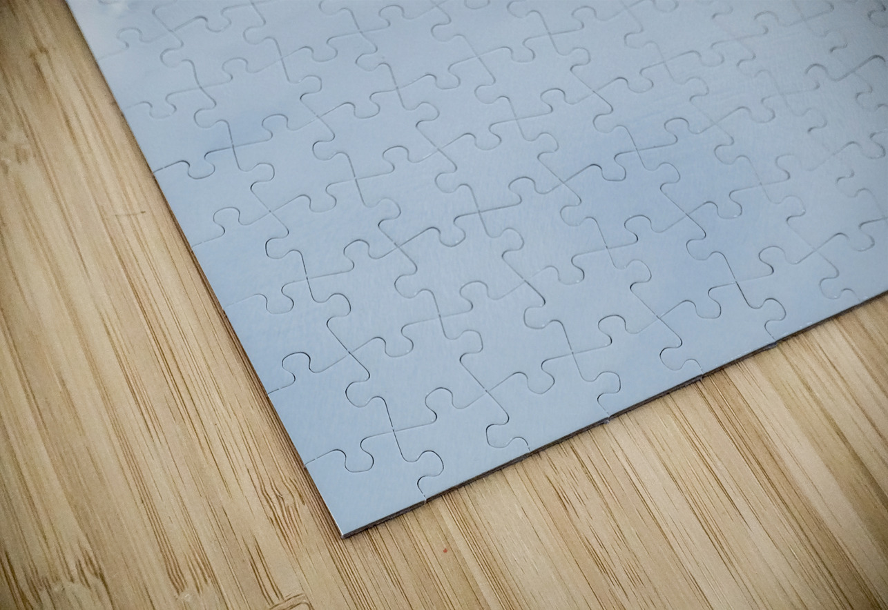 Icefield View Geoffrey Prior Puzzle