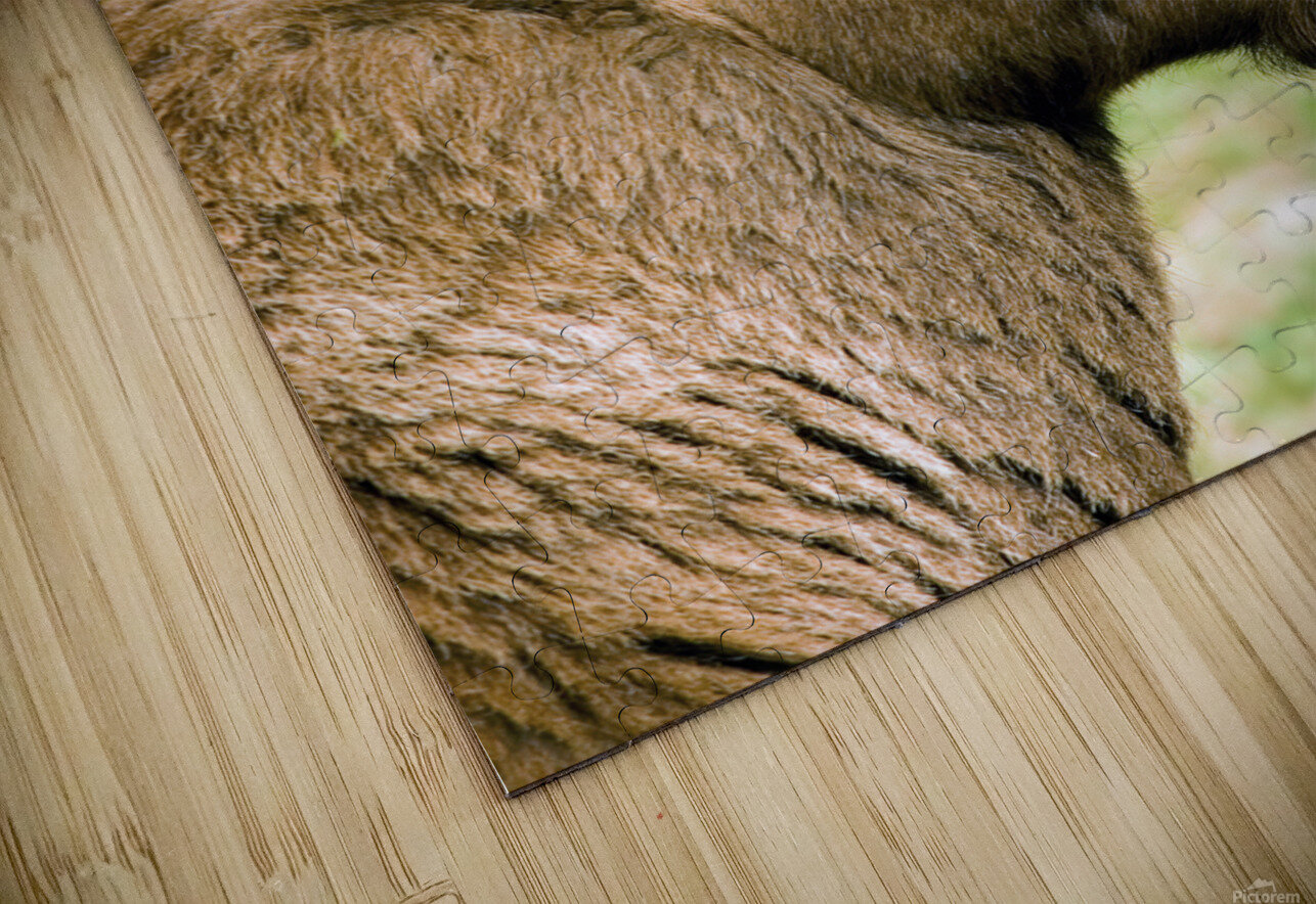 HORNS AND BEARD Sergio Cerrato Puzzle