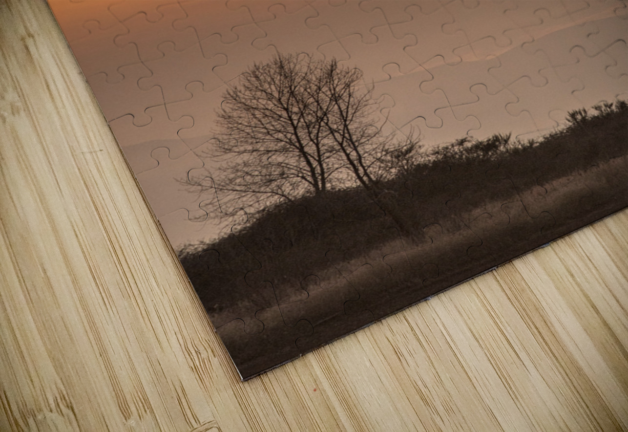 20250121 07 154 FOTOSQUARES COM Puzzle