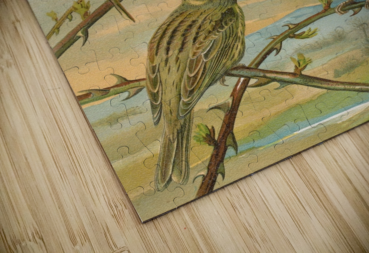 Emberiza citrinella. Emberiza cirlus by Johann Friedrich Naumann [1780–1857] MyCozyFineArt Puzzle