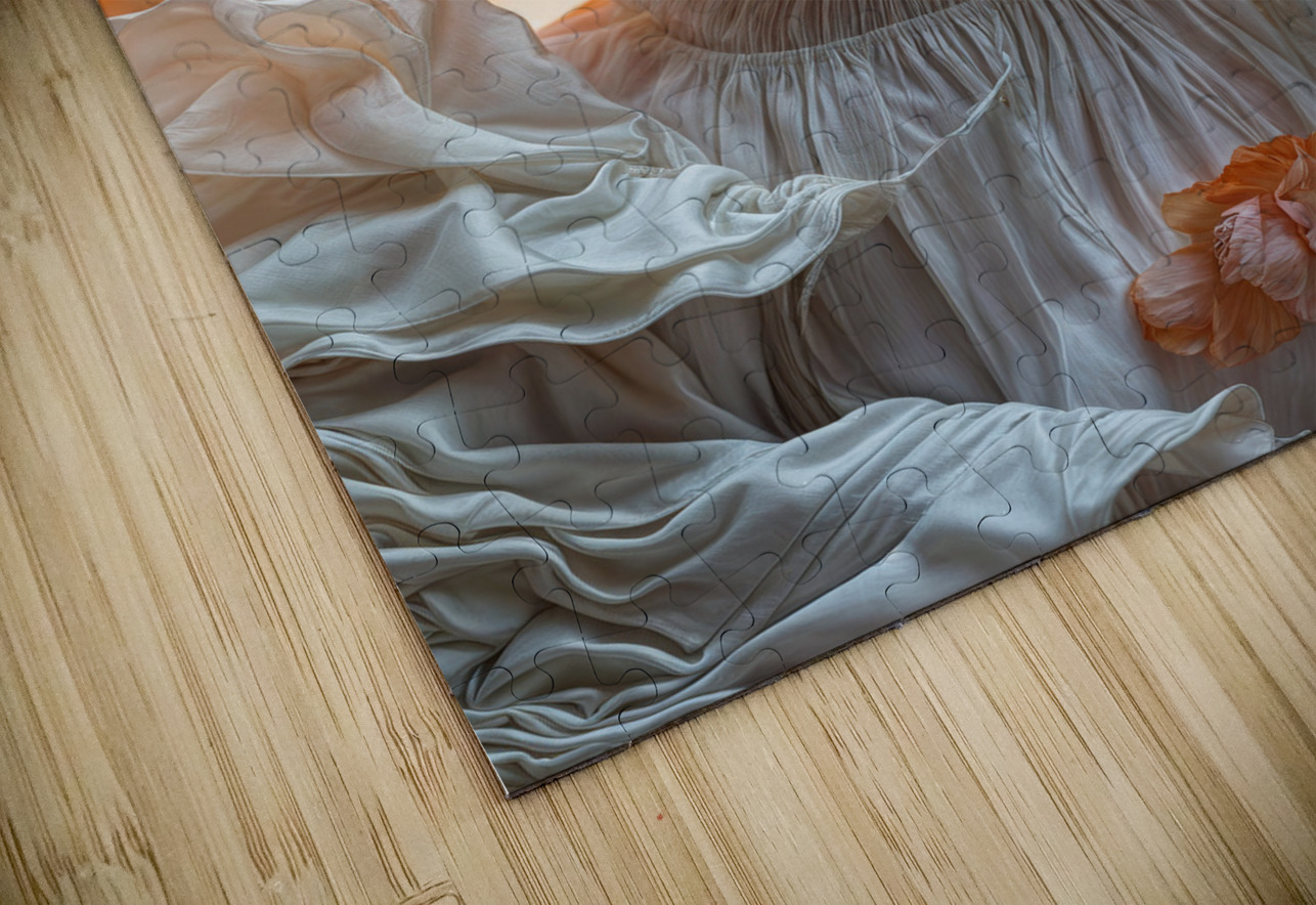 Inevitability of Change  Aniima Illussiya Puzzle