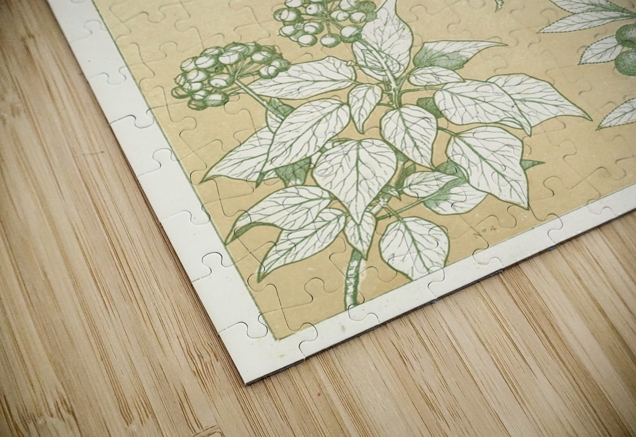 Leaves from Nature No.7 [1856] by Owen Jones [1809–1874] MyCozyFineArt Puzzle