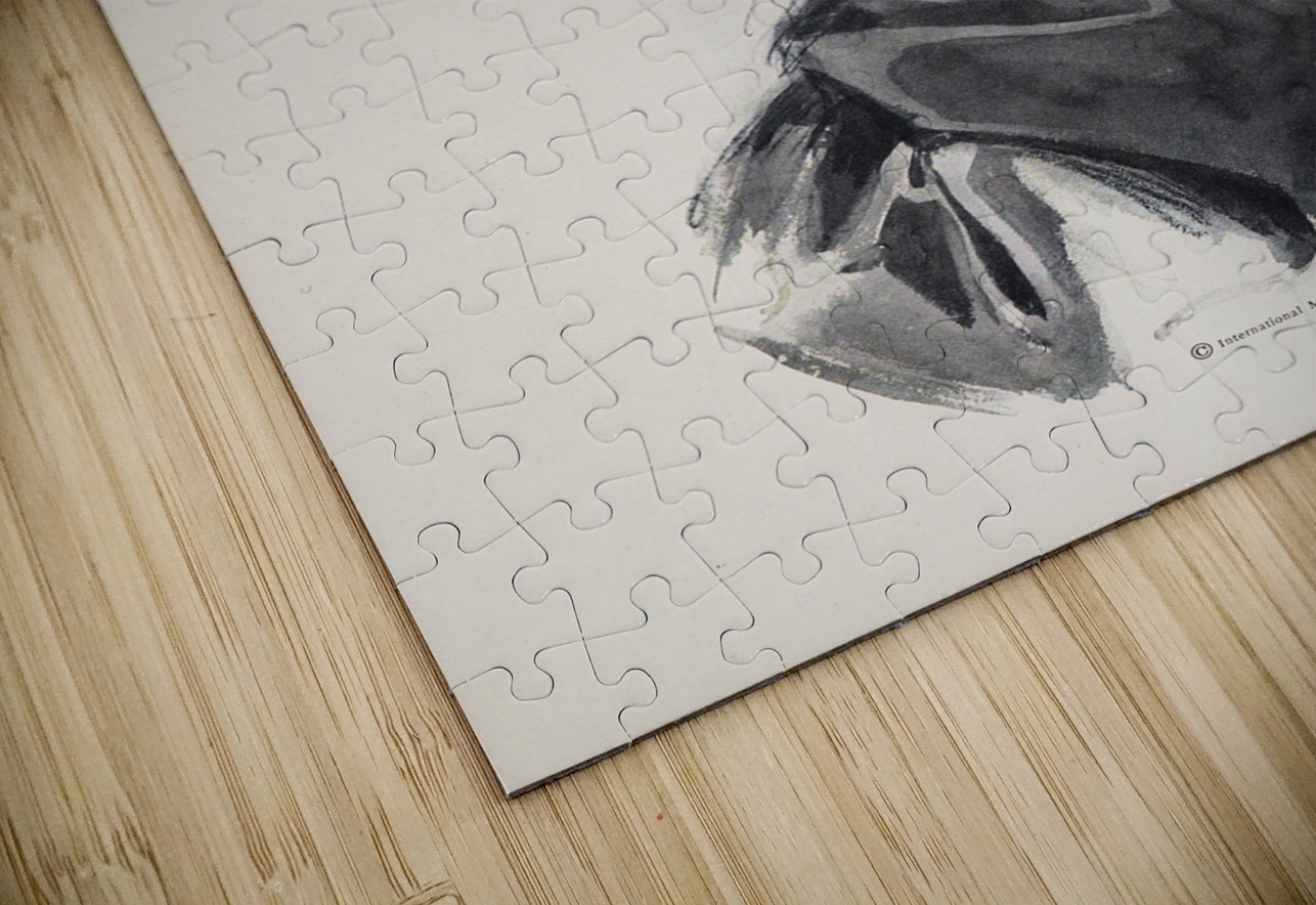 Harrison Fisher girls Pl.8 [1914] by Harrison Fisher [1877–1934] MyCozyFineArt Puzzle