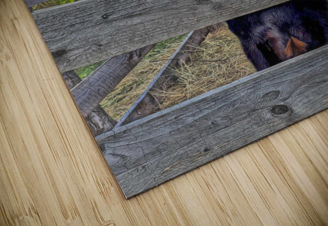 Alert Market Goat Wood Pen Future Unmapped Puzzle