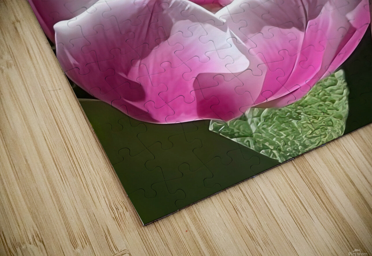 IMG 6066 Linda Joan Miller Puzzle