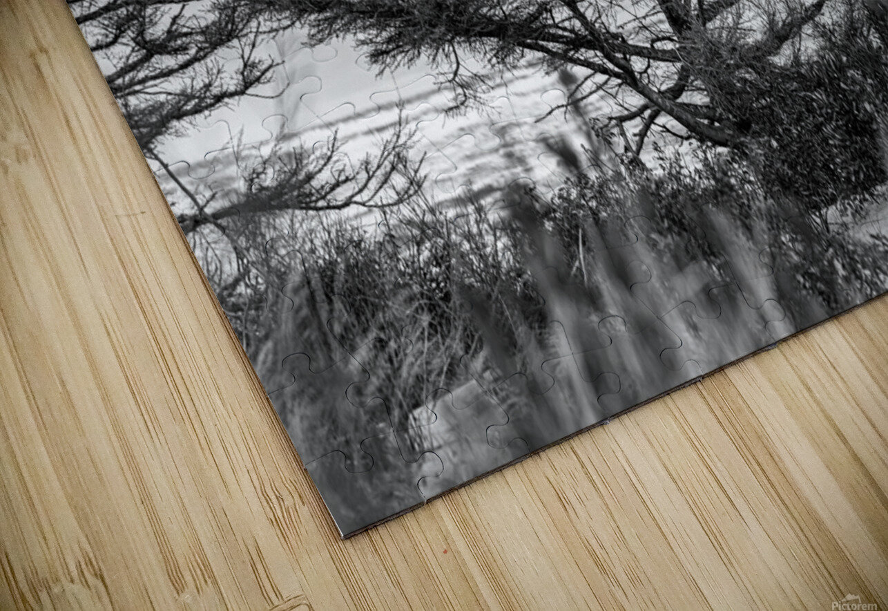 The Poor old Spruce Dan MacKinnon Puzzle