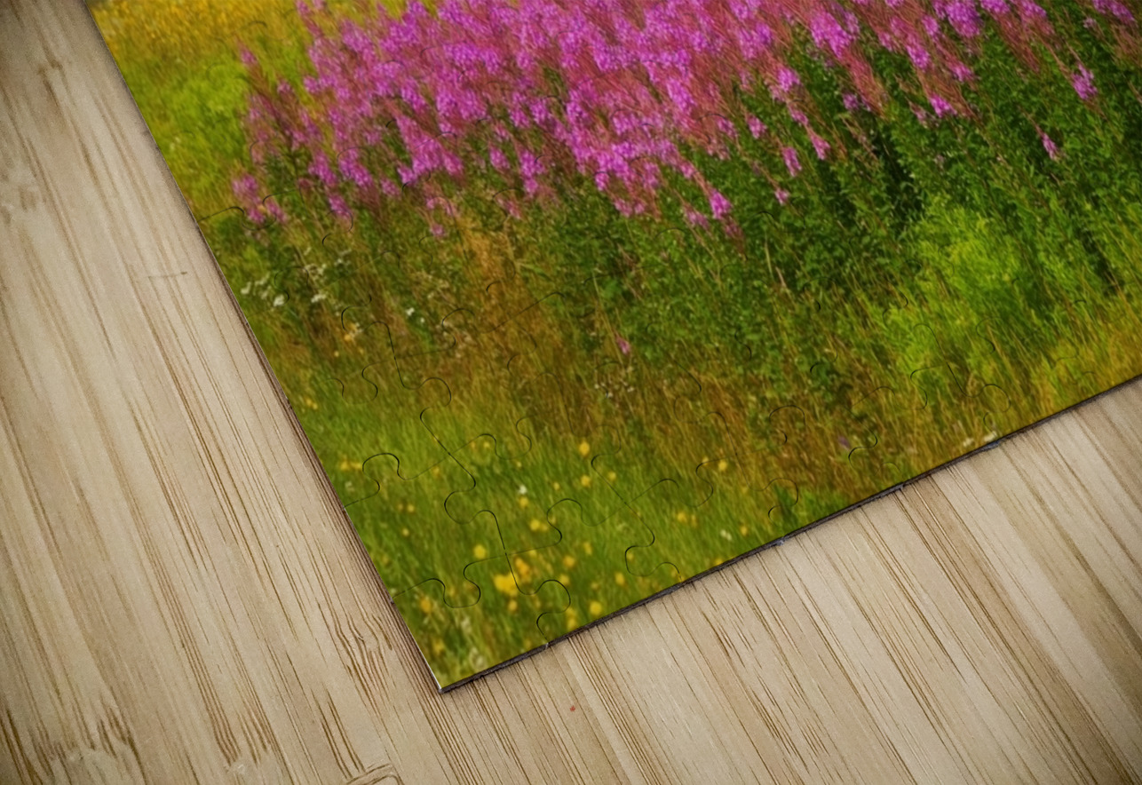 Foggy Day on the Farm Dan MacKinnon Puzzle