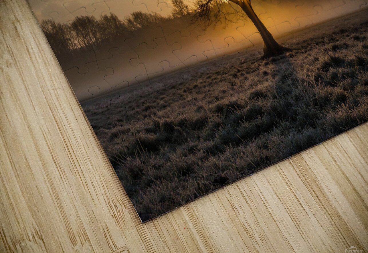 Lone tree Tree Oak Blakof Puzzle