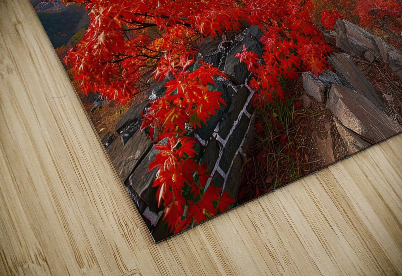 Autumn Great Wall ZX49CV 67 Abstract Rebellion Puzzle