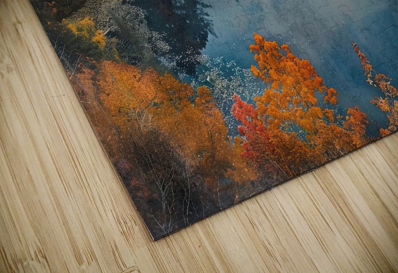 Autumn Reflections NZ8H29 45 Abstract Rebellion Puzzle