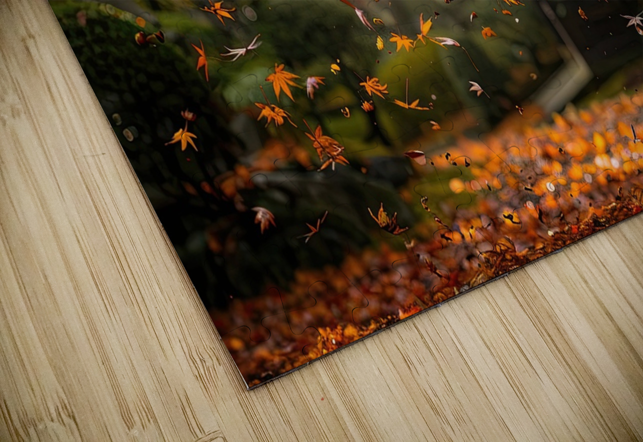 Autumn Whispers J79B2H 45 Abstract Rebellion Puzzle