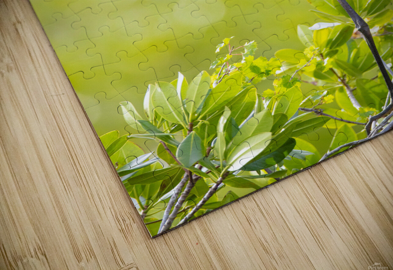 Great Blue Heron 2670 Robert Burnett Puzzle