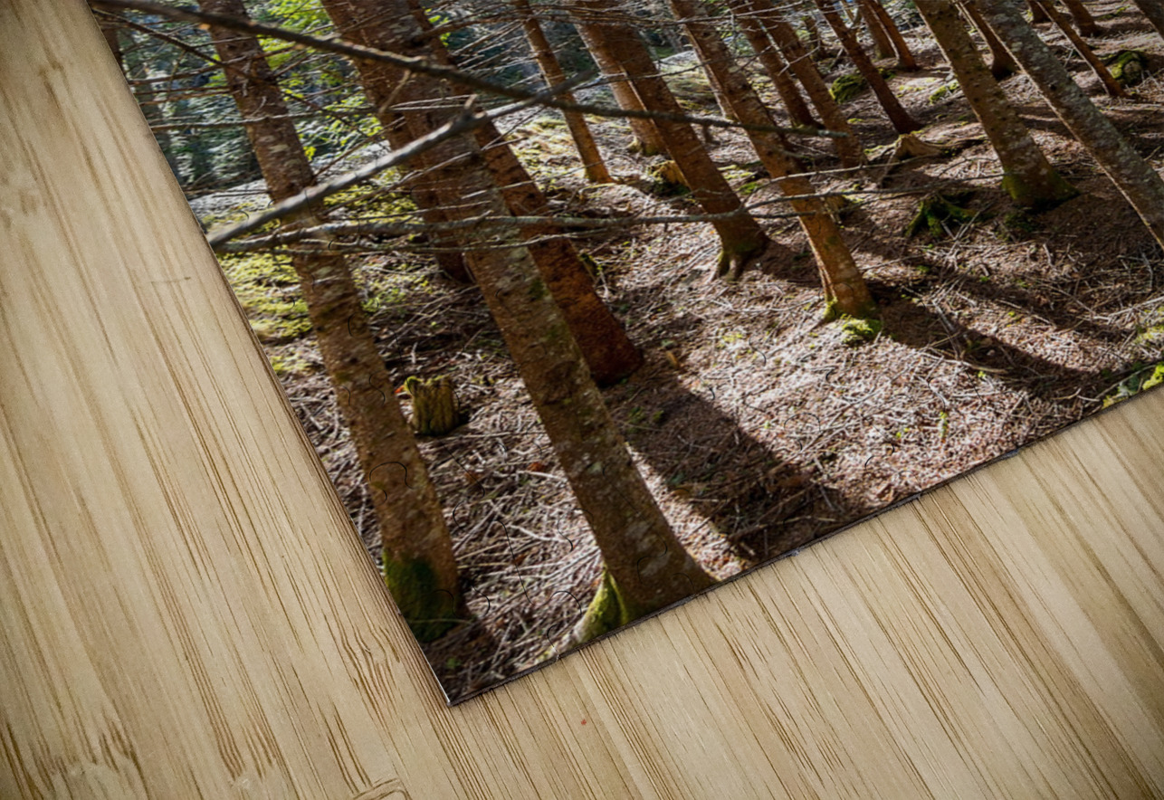 The Beauty of Nature Olena Ivanova Puzzle