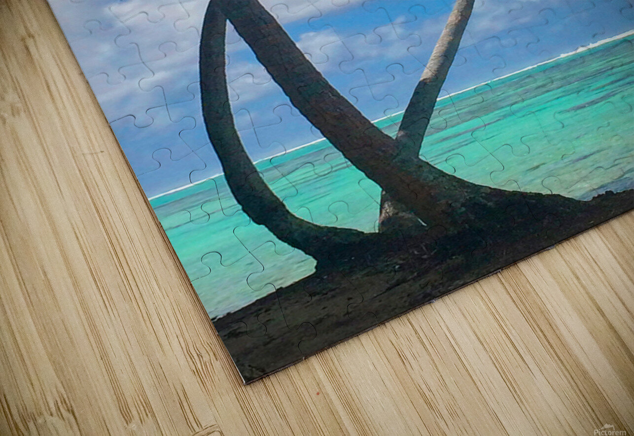 Motu Mahaea Palms Jim Dodson Puzzle