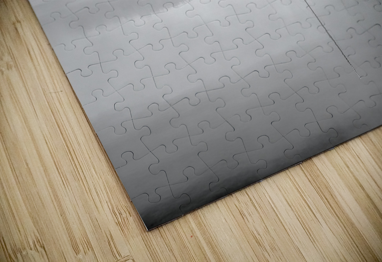 Lake in Nova Scotia Olena Ivanova Puzzle