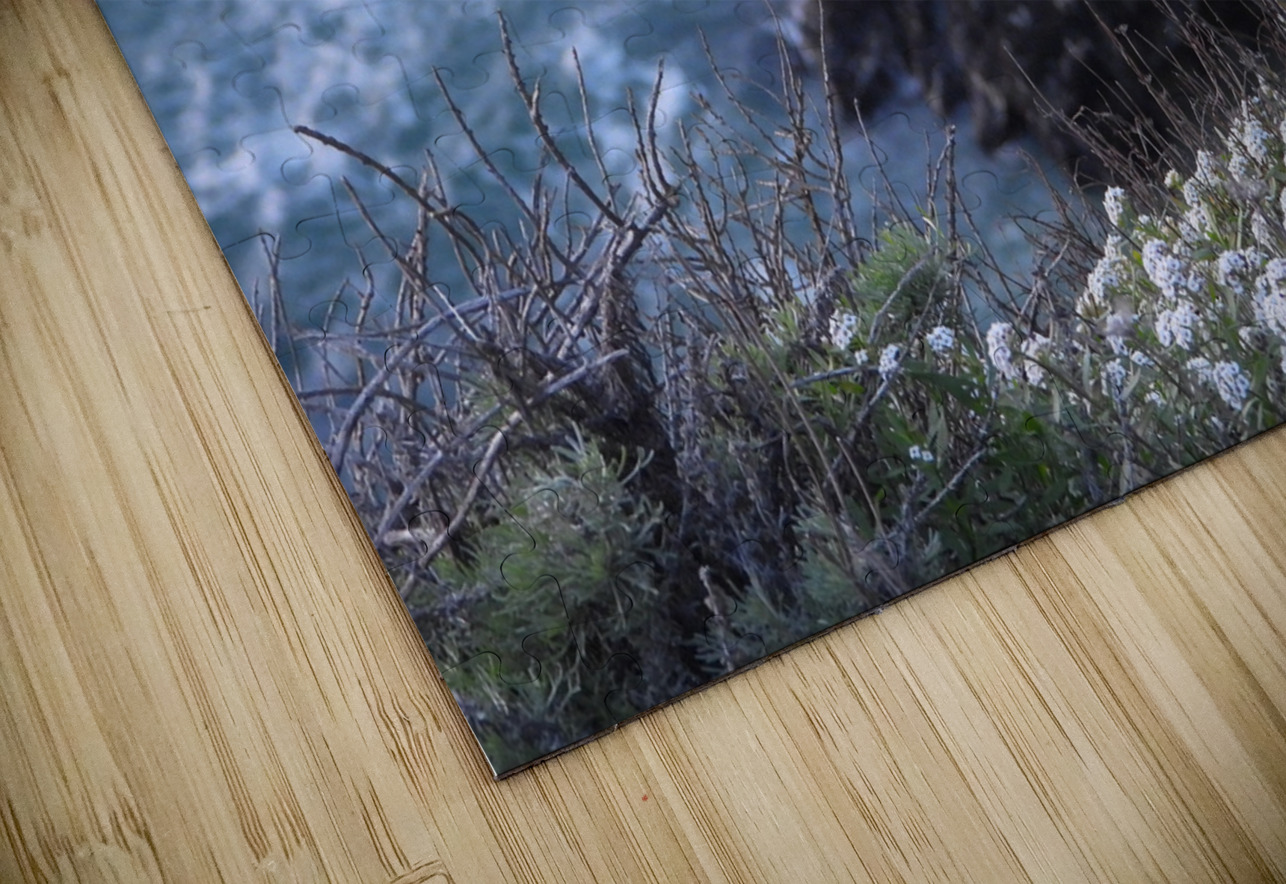 DSCN6820 BVL PHOTOGRAPHY ART Puzzle