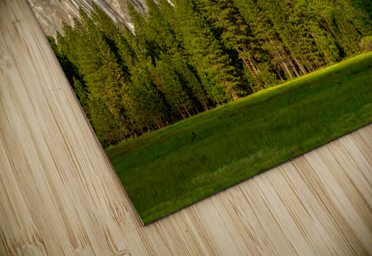 Yosemite Jesse Goff Puzzle