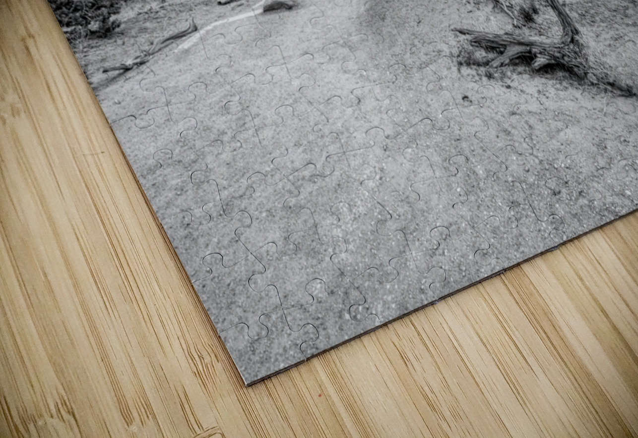 Juniper Along Mesa Arch Trail Grayscale Jennifer White Puzzle