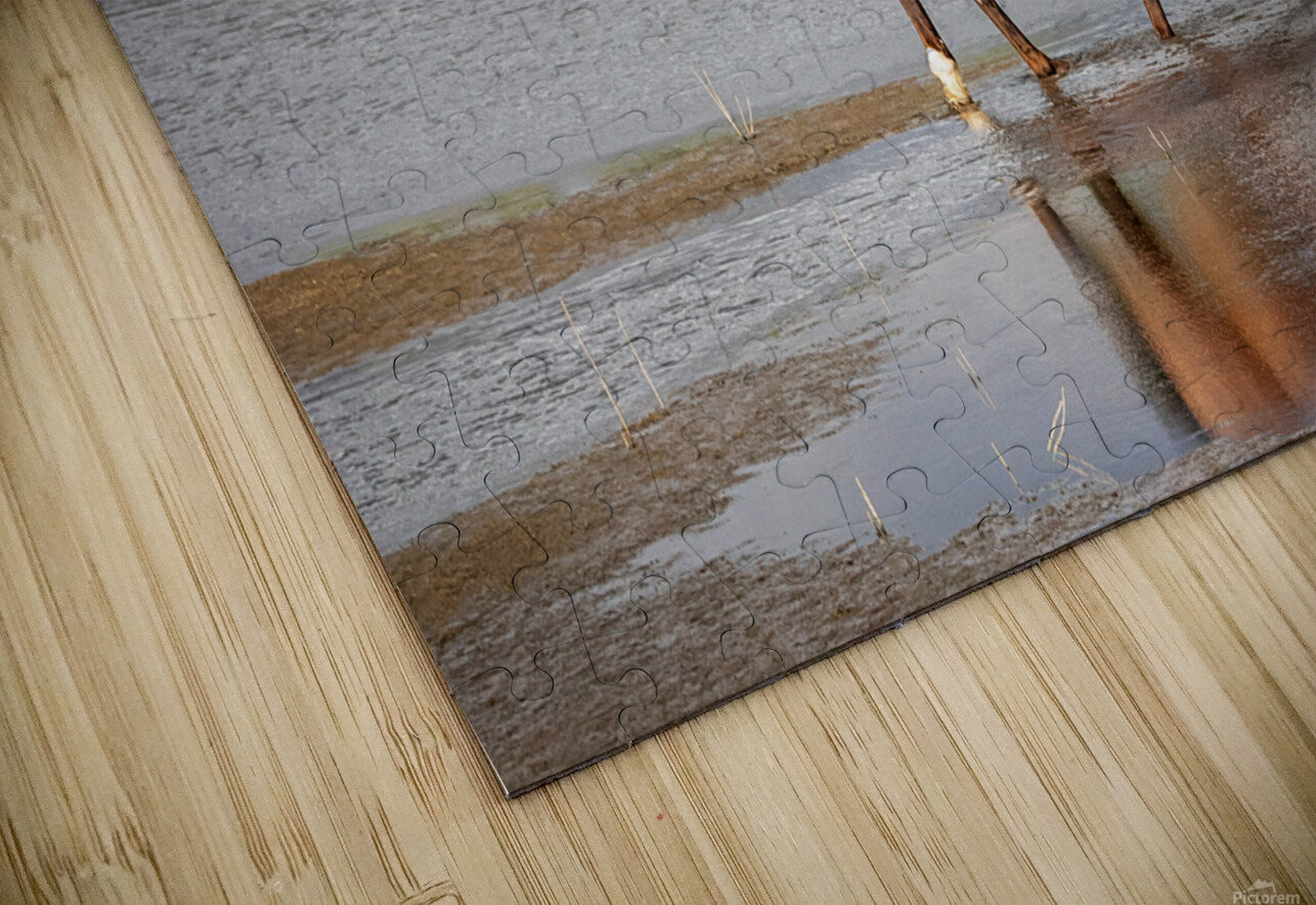 Wild Horse Reaching For Water Evan Petty Photography Puzzle